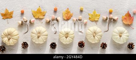 Décor automnal panoramique de décor naturel - citrouilles blanches, acornes beiges, feuilles d'automne sèches et cônes de pin.Flat lay, vue de dessus sur blanc cassé Banque D'Images