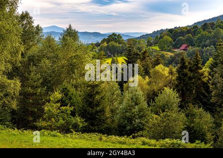 Vue panoramique sur les montagnes de Beskidy vue depuis le chemin jusqu'au sommet de Potrojna depuis le village de Targanice sur la pente nord de Little Beskids dans la petite Pologne Banque D'Images