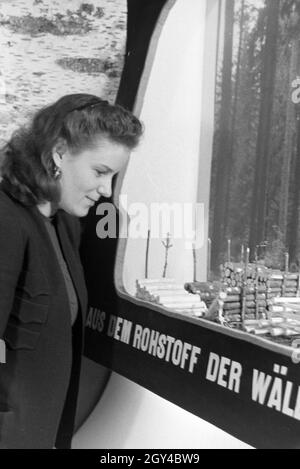 Eine der Leipziger Frühjahrsmesse Besucherin vor einem Modell der Rohstoffnutzung Holz, Deutschland 1941. Un visiteur de la Leipziger Frühjahrsmesse en face d'un modèle de l'utilisation de la matière première bois, Allemagne 1941. Banque D'Images