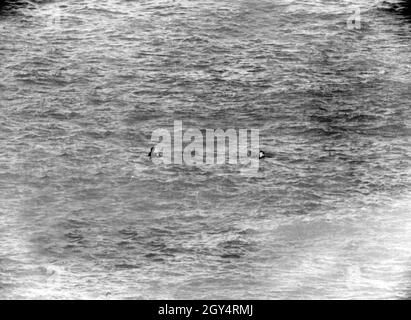 L'équipage d'un Messerschmitt me 110 a sombré dans la mer du Nord pendant la bataille d'Angleterre, après que leur avion ait coulé.Les images avec les ID d'image 00081855, 00081850 et 00323923 montrent différentes phases de cet événement.[traduction automatique] Banque D'Images