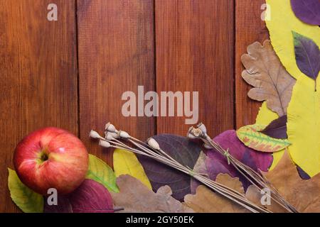 Les feuilles colorées d'automne et une pomme rouge se trouvent sur un fond marron en bois.Il y a un espace vide pour une inscription Banque D'Images