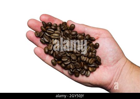 Grains de café torréfiés sur la paume d'un homme.Sur un arrière-plan blanc pour la découpe Banque D'Images