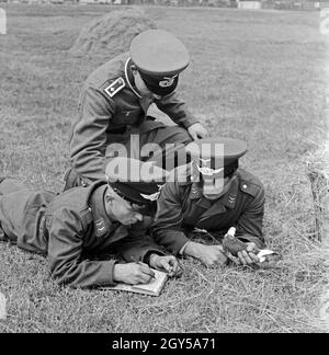 Zwei Rekruten der Luftwaffe der Wehrmacht mit ihrem Ausbilder und der Brieftaube en Heeres-Brieftauben-Anstalt, Berlin Spandau 1930er Jahre. Deux recrues de la Luftwaffe allemande avec leur seargant de forage et d'un pigeon voyageur, Berlin Spandau 1930. Banque D'Images