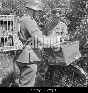 Brieftauben-Abteilung Original-Bildunterschrift : Radfahrer der mit Behältern zur Überbringung Nachrichtentruppe Brieftauben an die von Deutschland, 1940er Jahre. Les cyclistes du pigeon voyageur avec boîtes de transport sur son chemin vers le corps des transmissions, de l'Allemagne des années 40. Banque D'Images