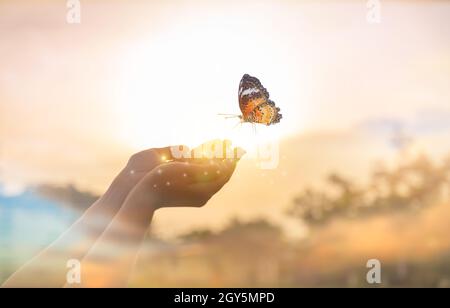 La fille libère le papillon du moment concept de liberté Banque D'Images