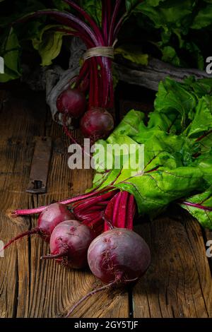 Botwina, jeune Beetroot rustique Banque D'Images