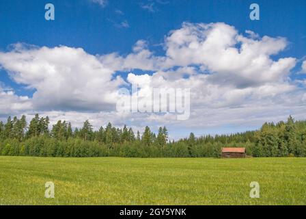 Paysage rural avec une grange dans un champ au bord d'une forêt près du village suédois Bollnas Banque D'Images
