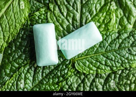 Tampons de gomme à mâcher à la menthe sur les feuilles de menthe verte. Vue de dessus. Banque D'Images