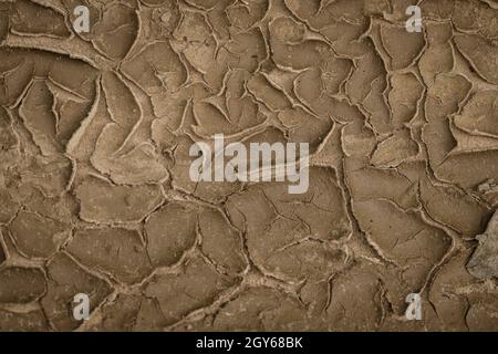 Texture d'arrière-plan de la terre fissurée texture abstraite pour l'arrière-plan après la pluie Banque D'Images