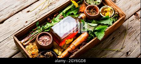 Plantes médicinales et herbes médicinales fraîches et sèches.médecine de fines herbes,homéopathie Banque D'Images