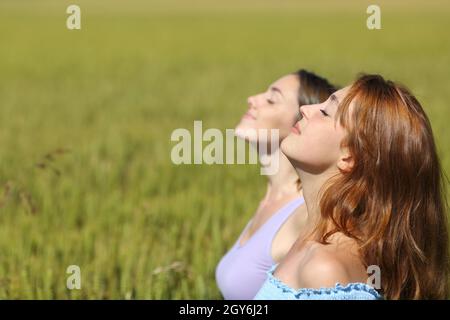 Vue latérale portrait de deux amis qui respirent de l'air frais dans un champ de blé Banque D'Images