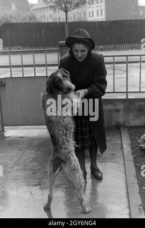 Die Weltmeisterin Anni Kapell mit ihrem Hund, Deutsches Reich 1941. Champion du monde Anni Kapell avec son chien, de l'Allemagne 1941 Banque D'Images