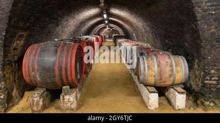 Ancienne cave à vin à Pecs, Hongrie Banque D'Images