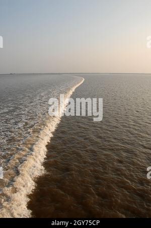 La marée s'est enfanta sur l'estuaire de la rivière Qiantang.Rive nord du fleuve Qiantang près de Hangzhou dans la province de Zhejiang, en Chine. Banque D'Images