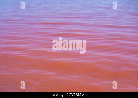 Mer saline rose avec petite vague ou marais salé eau d'évaporation étangs avec couleur de plancton rose.Prise de vue aérienne de haut en bas large par jour ensoleillé d'été Banque D'Images