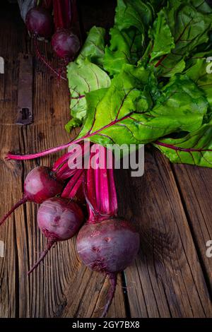 Botwina, jeune Beetroot rustique Banque D'Images