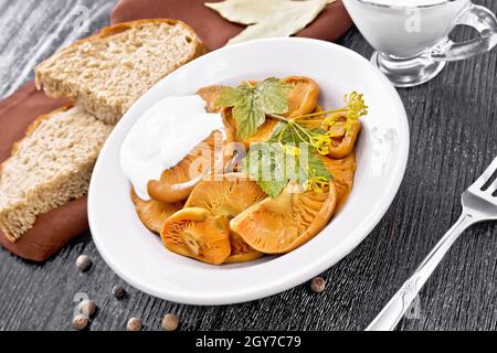 Safran de champignons salés à la crème aigre, feuille de cassis et branche d'aneth dans l'assiette, la fourchette, la serviette et le pain sur fond de bois noir Banque D'Images