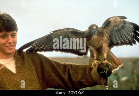 Ladyhawke année : 1984 Etats-Unis Directeur : Richard donner Matthew Broderick Banque D'Images