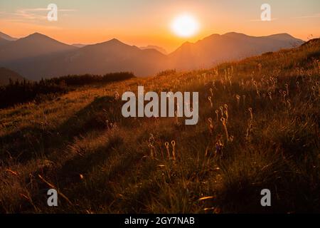 Paysage de montagne avec coucher de soleil sur un ciel clair en été.Composition horizontale grand angle d'un pré alpin avec herbe et fleurs illuminées i Banque D'Images