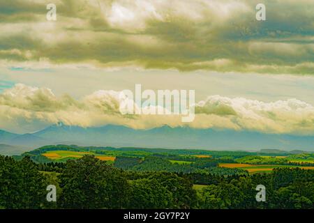 Image des grandes plaines d'Hokkaido. Lieu de tournage : Hokkaido Biei-cho Banque D'Images