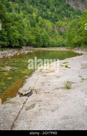 Rivière Serio et arbres merveilleux autour de lui, vallée de la Seriana, Bergame, italie. Banque D'Images