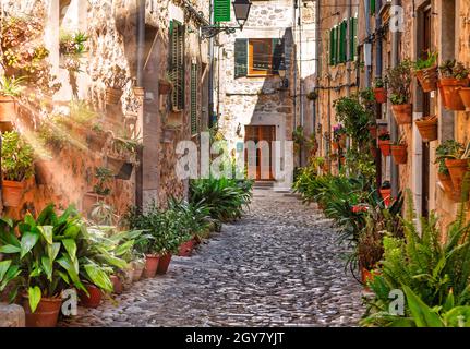 Allée de rue de l'usine de Valldemossa avec lumière du soleil pendant l'été Banque D'Images