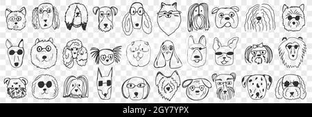 Ensemble de chiens pour les visages. Collection de visages drôles et drôles de chiens animaux de différentes races et styles de fourrure isolés sur fond transparent. JE Banque D'Images