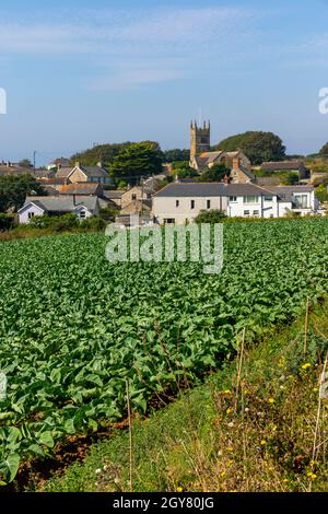 Vue en direction de Perranuthnoe un village près de St Michael's Mount sur le South West Coast Path à Cornwall Angleterre Royaume-Uni Banque D'Images