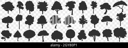 Ensemble de langoules d'arbres.Collection de silhouettes noires dessinées à la main de divers arbres en fleurs nature en rangées isolées sur fond transparent Banque D'Images