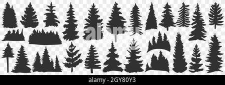 Ensemble de silhouettes d'épicéa et de pin.Collection de silhouettes noires dessinées à la main d'arbres forestiers pins en rangées isolées sur transpare Banque D'Images