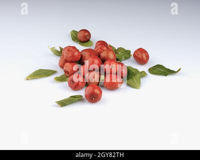 jujujube fruits sur fond blanc feuilles vertes Banque D'Images