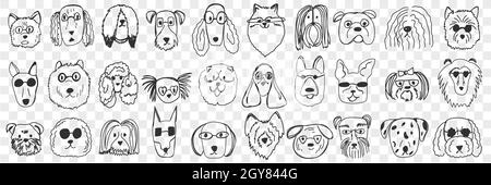 Ensemble de chiens pour les visages. Collection de visages drôles et drôles de chiens animaux de différentes races et styles de fourrure isolés sur fond transparent. JE Banque D'Images