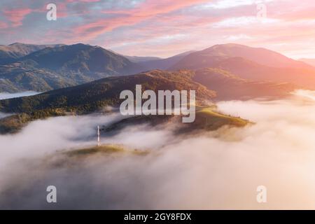 Le brouillard matinal s'étend sur des prairies verdoyantes dans les montagnes d'automne. Montagnes carpathiennes ukrainiennes. Photographie de paysage Banque D'Images