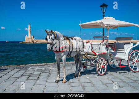 Cheval (Equus caballus) tirant une voiture touristique dans le port de Chania (Chania) en Crète, avec le phare en arrière-plan. Banque D'Images