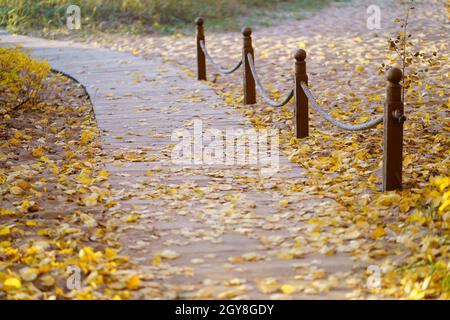 Promenade avec des feuilles jaunes sèches au coucher du soleil.Chemin en bois avec poteaux et corde dans le parc d'automne Banque D'Images