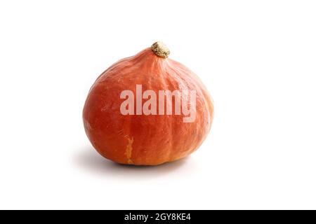 Potiron Hokkaido ou courge rouge kuri isolé sur fond blanc, légumes de saison sains pour Halloween et Thanksgiving, espace de copie, sélectionné FO Banque D'Images