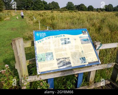 Un panneau sur le rare Fen Raft Spider à Redgrave Fen Suffolk, Royaume-Uni Banque D'Images