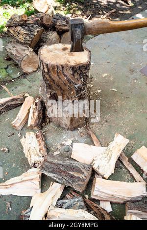morceaux de rondins et de cale hachés dans la souche d'arbre dans l'arrière-cour du village Banque D'Images