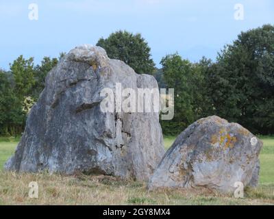 belle pierre naturelle avec un visage de lion ou quelque chose comme que sans être une sculpture Banque D'Images