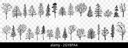 Ensemble de langoules à motif de silhouettes d'arbres.Collection de silhouettes d'arbres noirs dessinés à la main dans les forêts ou les parcs naturel modèle isolé sur tran Banque D'Images