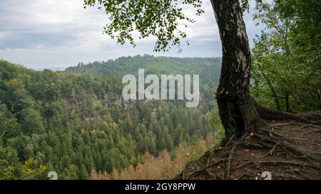 Vue magnifique sur les montagnes de grès d'Elbe Banque D'Images