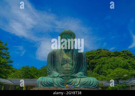 Début de l'été du Grand Bouddha de Kamakura, enveloppé dans du vert frais. Lieu de tournage: Kamakura, préfecture de Kanagawa Banque D'Images