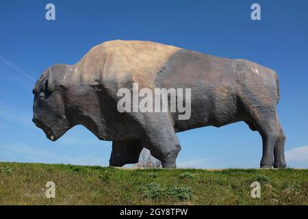 JAMESTOWN, DAKOTA DU NORD - 3 octobre 2021 : Dakota Thunder, le plus grand monument de Buffalo au monde, un géant en béton de 26 tonnes de 60 mètres de haut a été debout à wat Banque D'Images