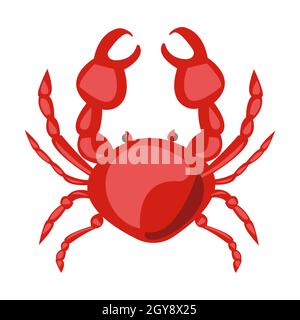 Crabe frais réaliste sur fond blanc - illustration vectorielle Banque D'Images