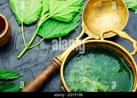 Soupe d'ortie verte d'été. Chowder aux orties fraîches. Soupe à la crème. Banque D'Images