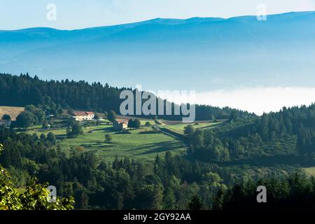 Paysage du Haut Forez dans le Parc naturel régional Livradois-Forez, département du Puy de Dome, Auvergne-Rhône-Alpes, France Banque D'Images