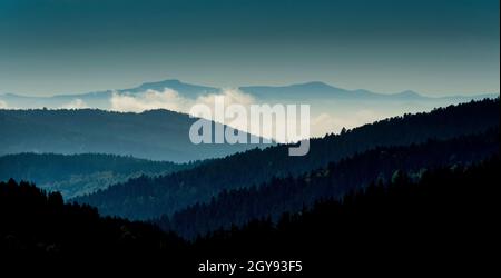 Paysage du Haut Forez dans le Parc naturel régional Livradois-Forez, département du Puy de Dome, Auvergne-Rhône-Alpes, France Banque D'Images