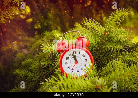 Réveil rouge sur l'arbre de Noël. Près de Twelve O'clock Midnight, concept du nouvel an. Banque D'Images