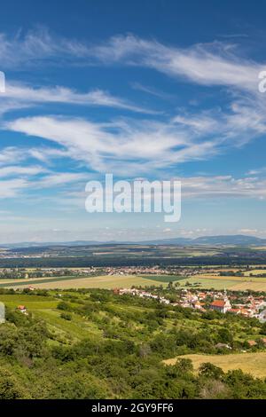 Vignobles près de Polesovice, Moravie du Sud, République tchèque Banque D'Images