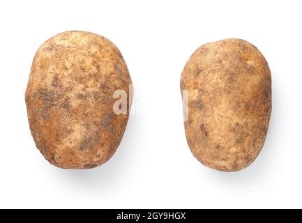 Pomme de terre biologique isolée sur fond blanc. Légumes frais mûrs pris du sol. Vue de dessus Banque D'Images